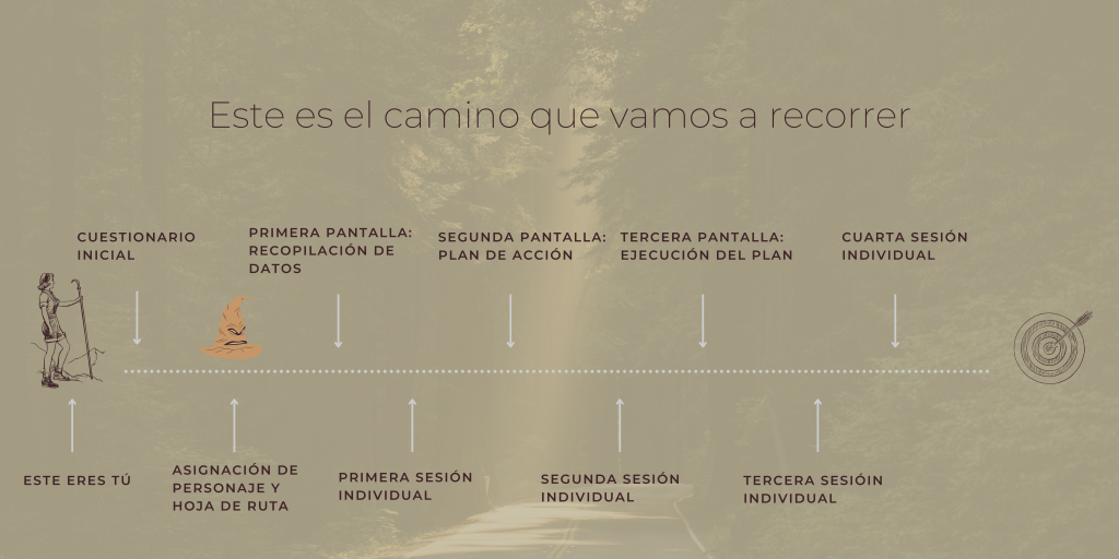 Imagen que define los pasos que se llevan a cabo en el programa.